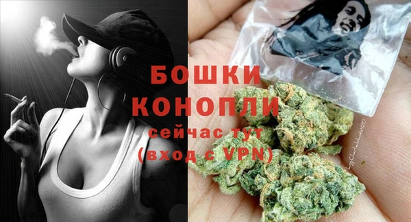 ГАЛЛЮЦИНОГЕННЫЕ ГРИБЫ Михайлов