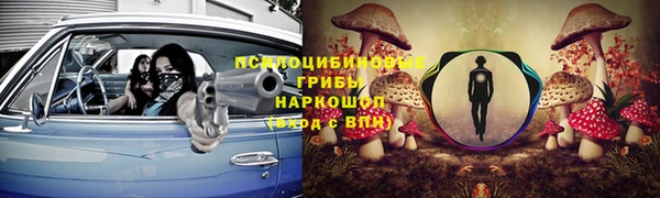 гидропоника Абаза