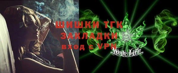 ГАЛЛЮЦИНОГЕННЫЕ ГРИБЫ Михайлов