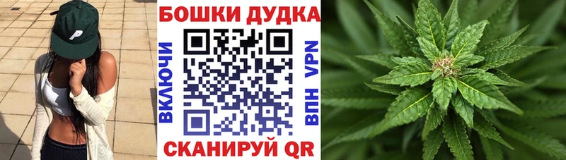 Бошки Шишки конопля  закладки  Починок 